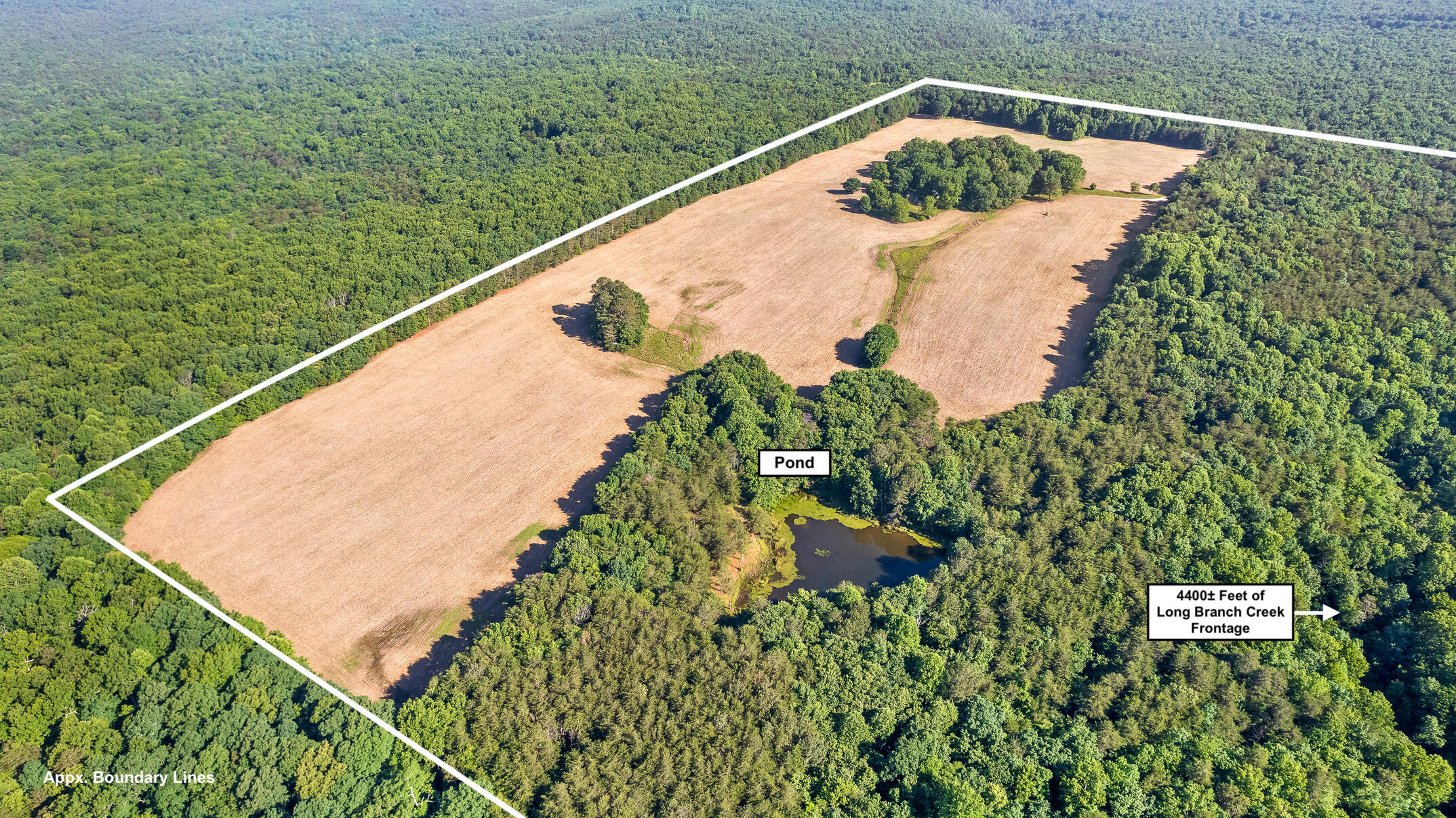 1234 Long Branch Road Menlo, GA 30731 - Photo 19 of 41 Aerial View