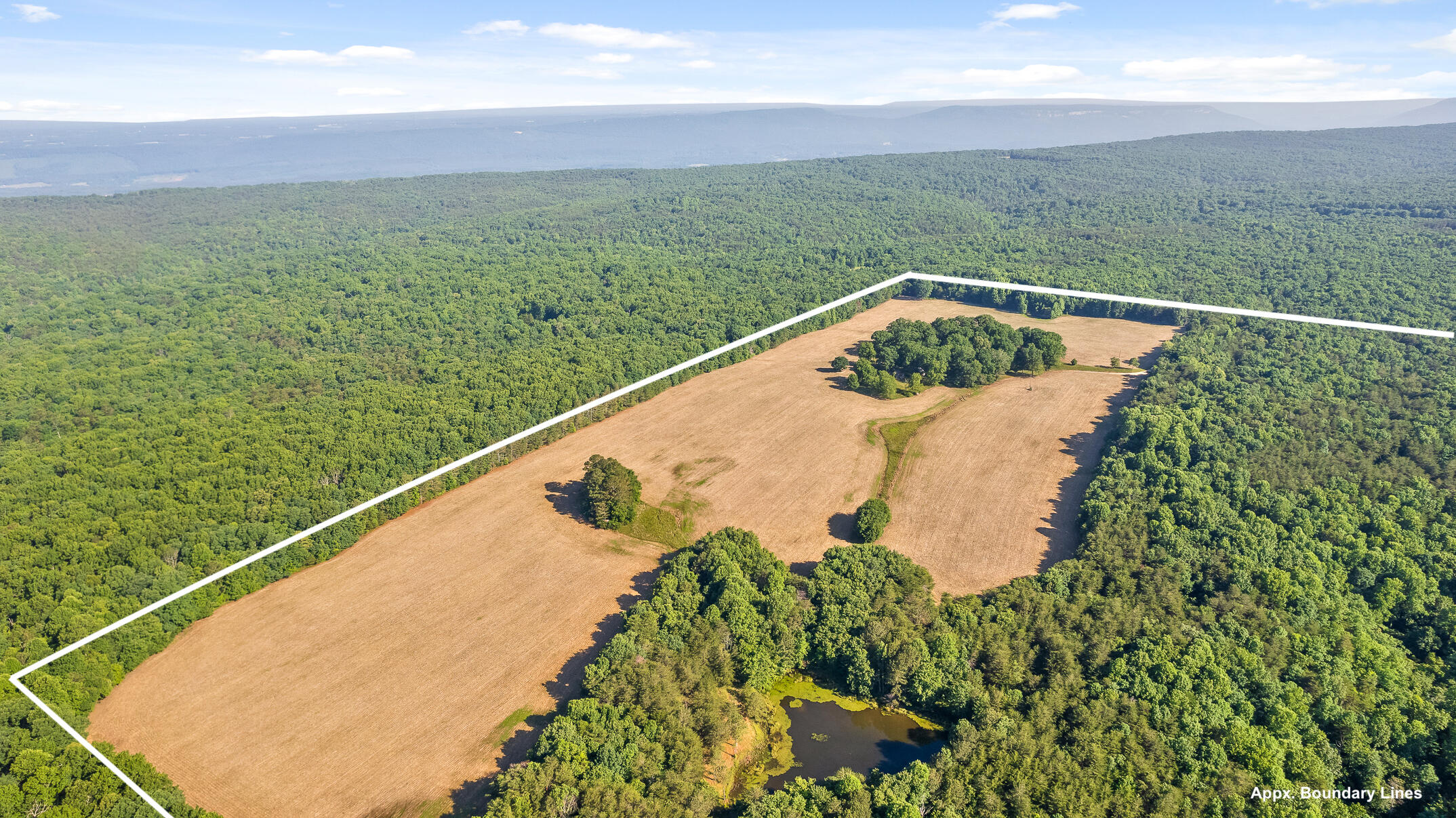 1234 Long Branch Road Menlo, GA 30731 - Photo 20 of 41 Aerial View