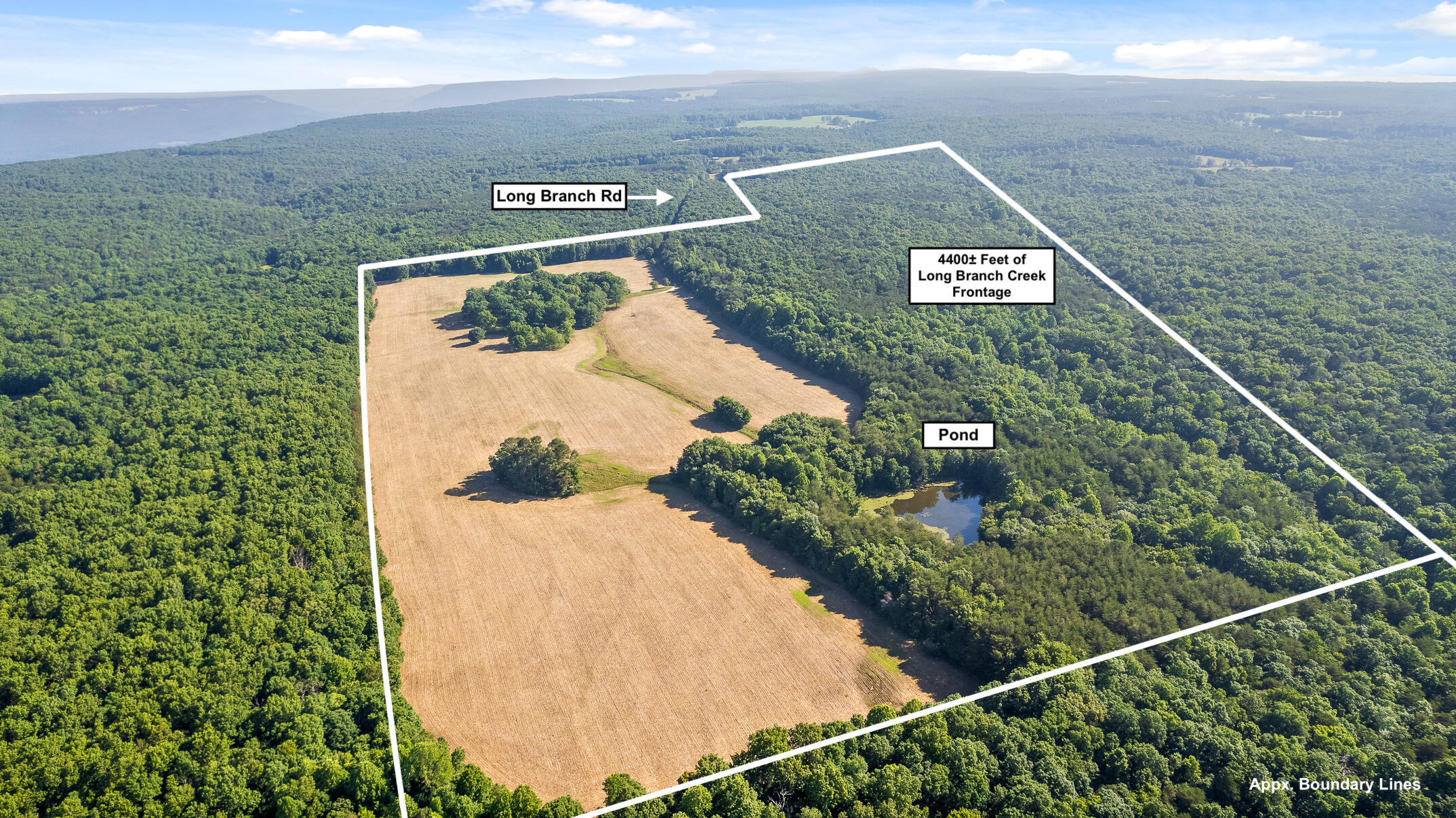 1234 Long Branch Road Menlo, GA 30731 - Photo 2 of 41 Approx Boundary Lines