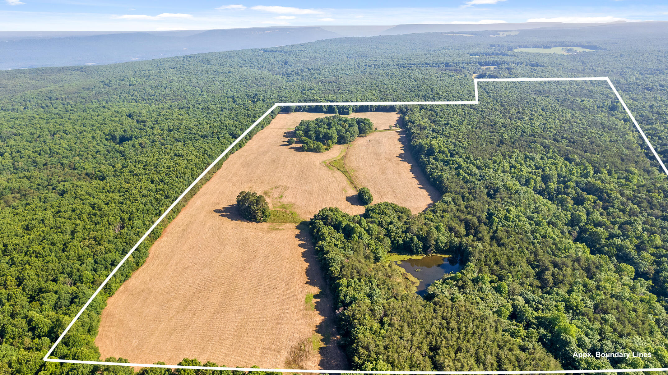 1234 Long Branch Road Menlo, GA 30731 - Photo 21 of 41 Aerial View