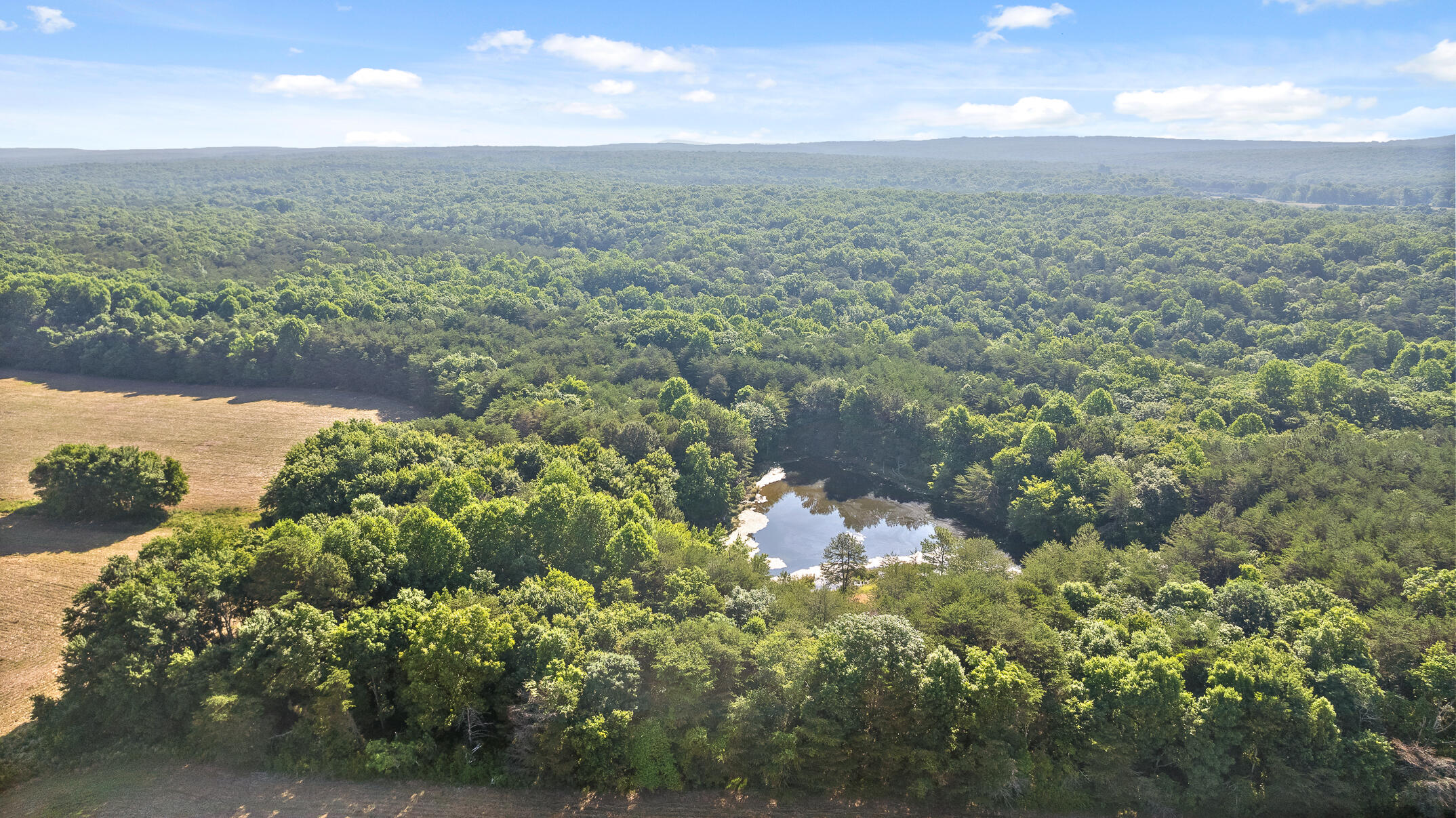 1234 Long Branch Road Menlo, GA 30731 - Photo 22 of 41 Aerial View