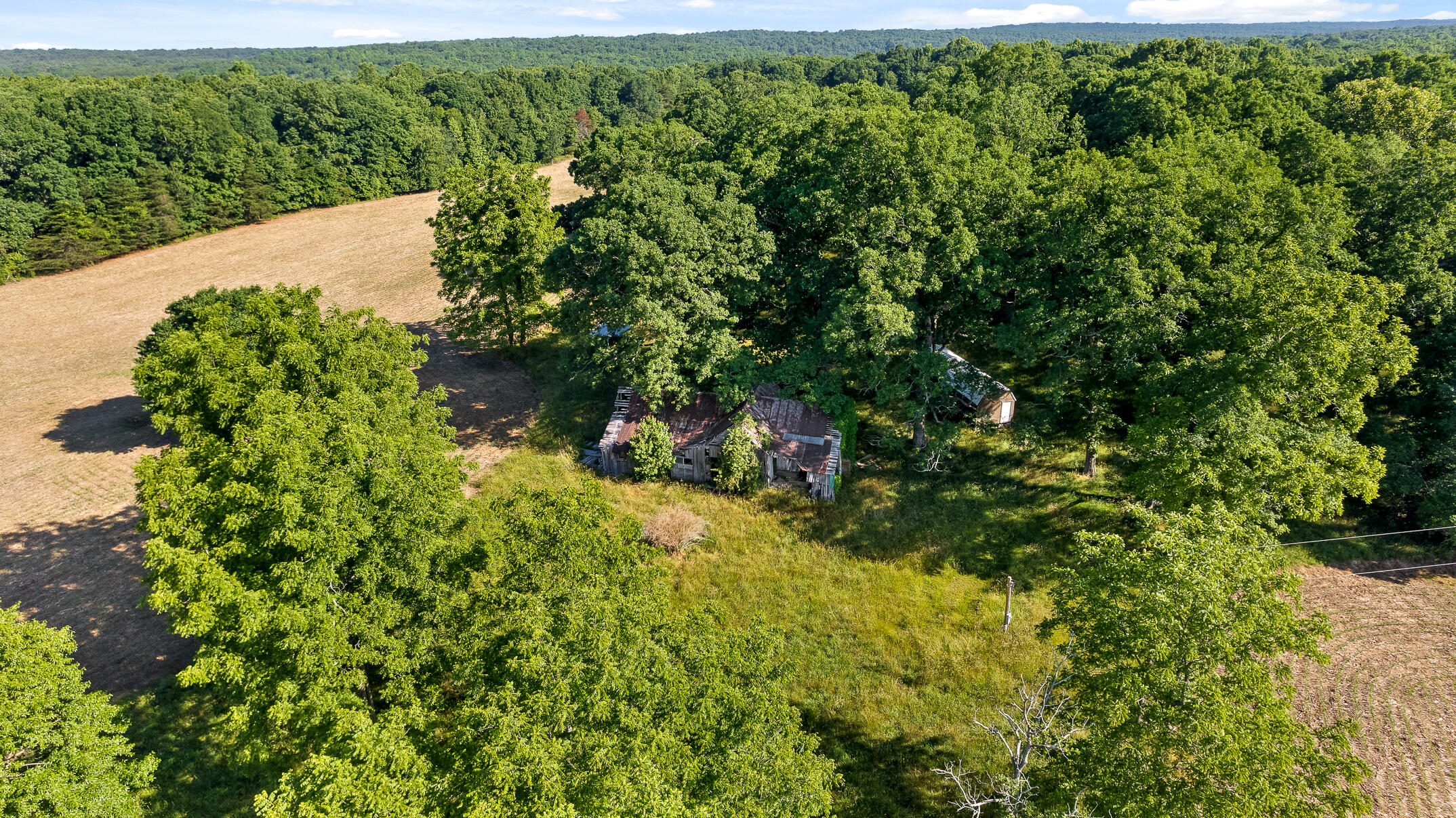 1234 Long Branch Road Menlo, GA 30731 - Photo 25 of 41 Aerial View