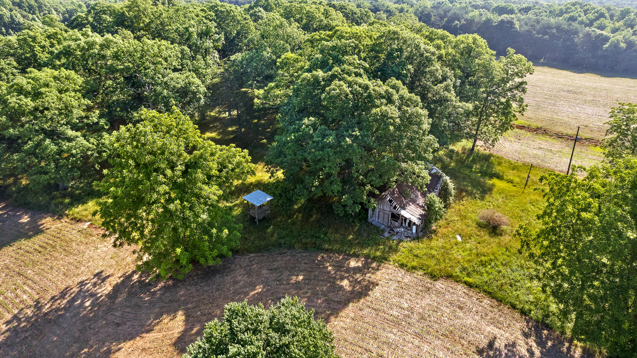 1234 Long Branch Road Menlo, GA 30731 - Photo 26 of 41 Aerial View