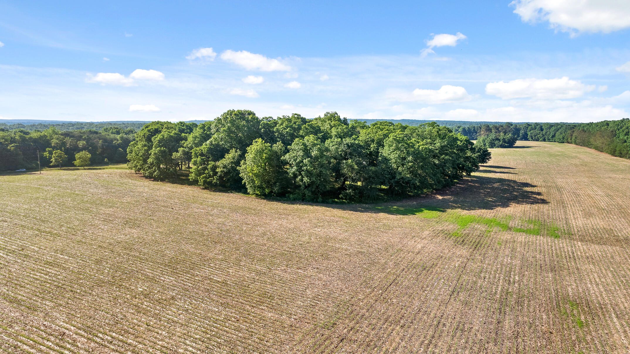 1234 Long Branch Road Menlo, GA 30731 - Photo 27 of 41 Aerial View