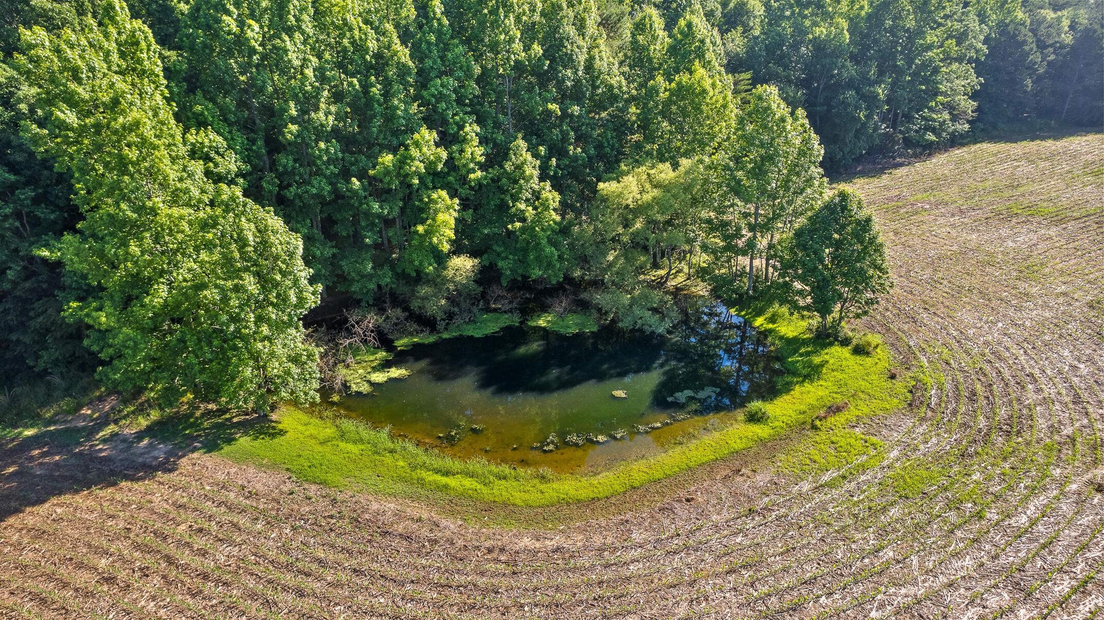 1234 Long Branch Road Menlo, GA 30731 - Photo 28 of 41 Aerial View