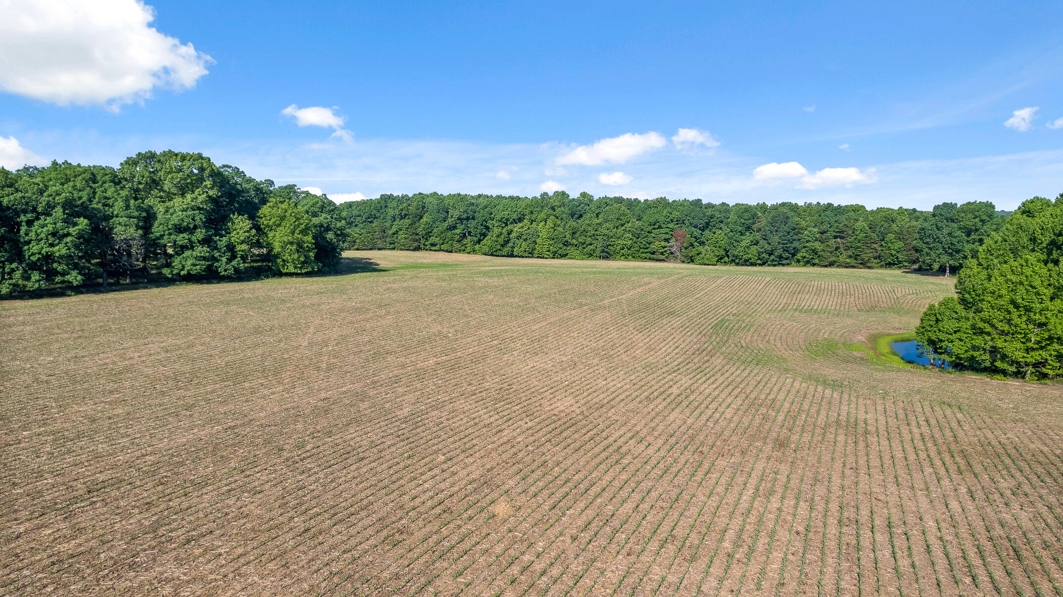 1234 Long Branch Road Menlo, GA 30731 - Photo 29 of 41 Aerial View