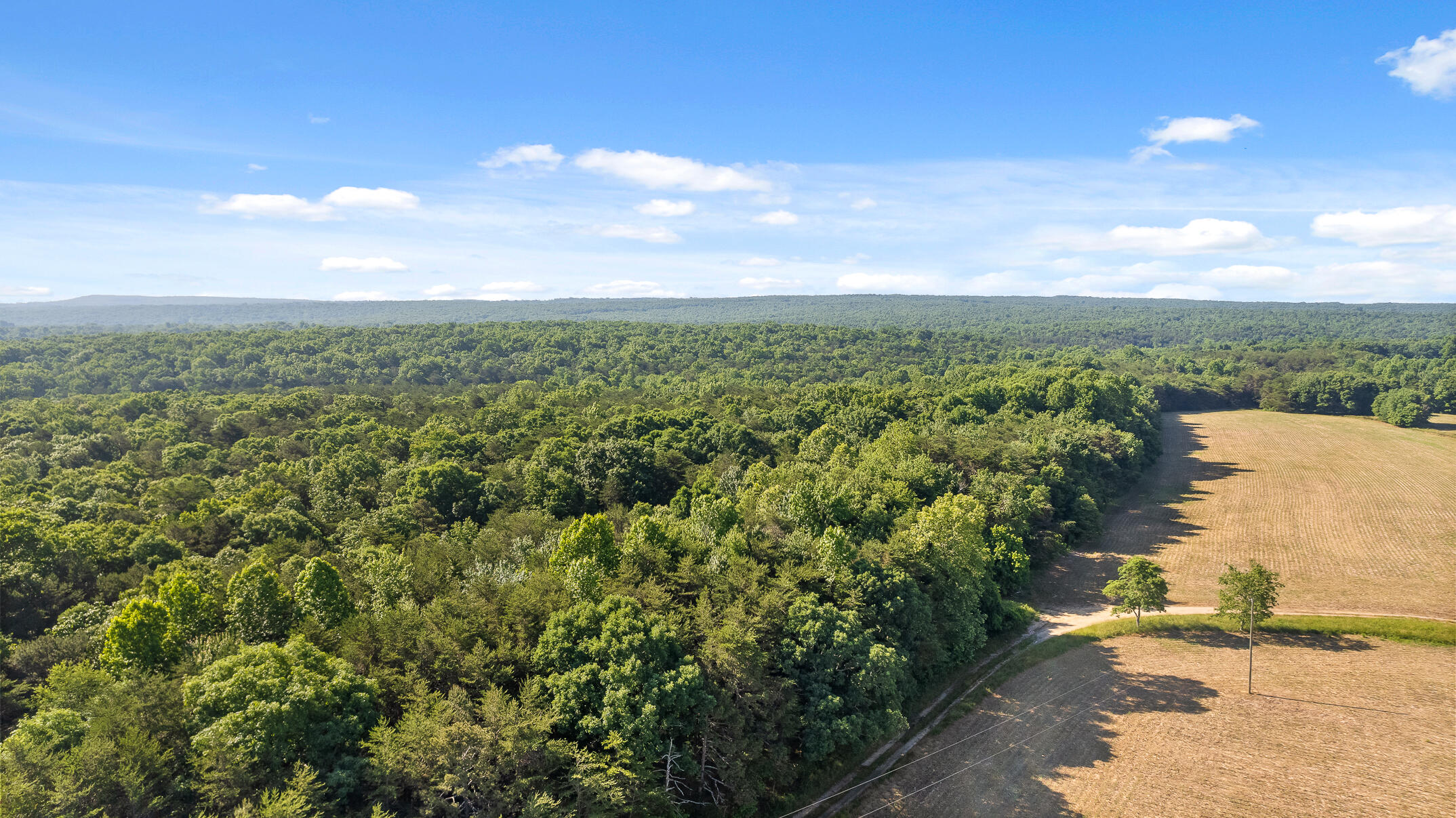 1234 Long Branch Road Menlo, GA 30731 - Photo 30 of 41 Aerial View