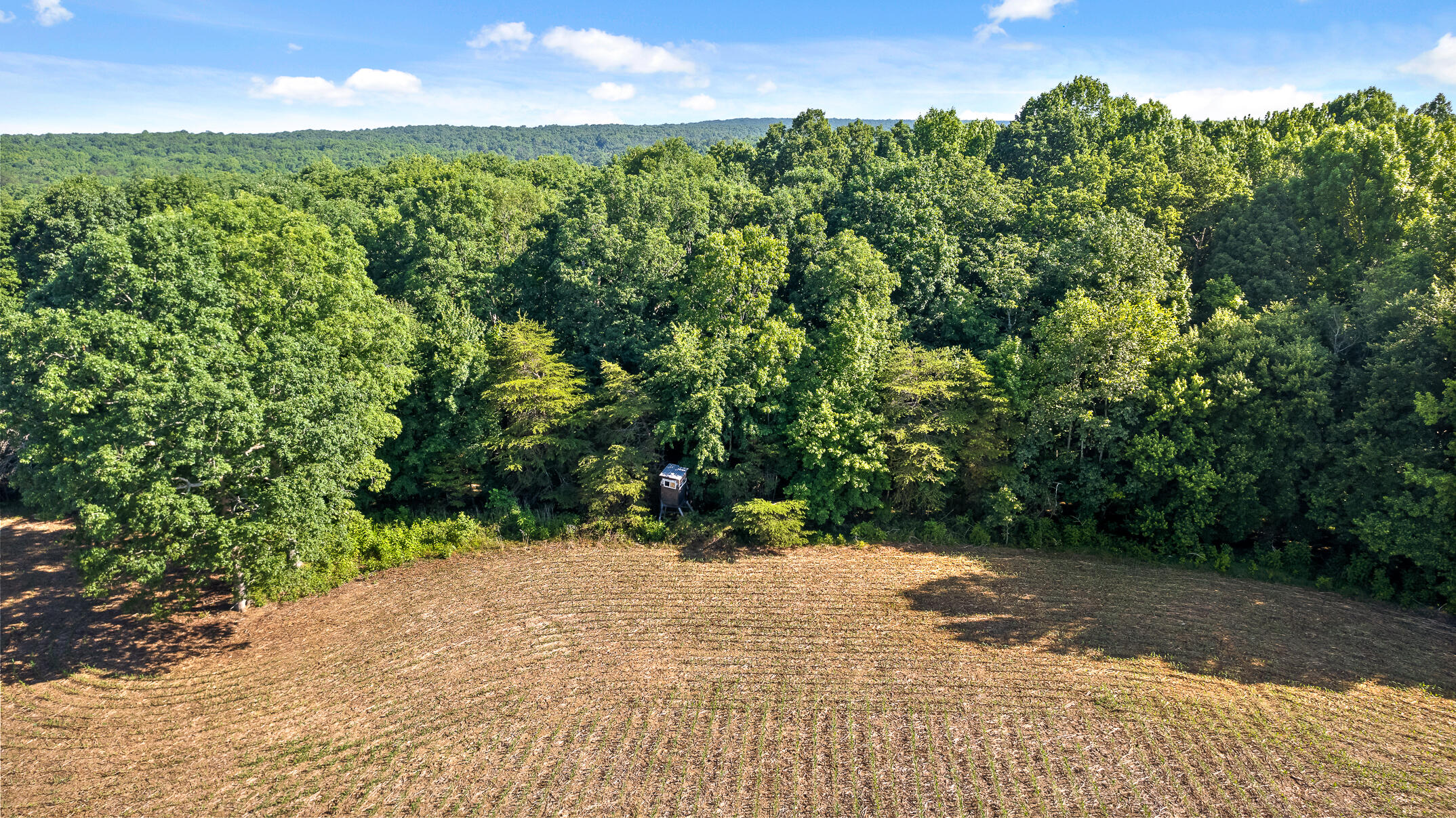 1234 Long Branch Road Menlo, GA 30731 - Photo 3 of 41 Aerial View