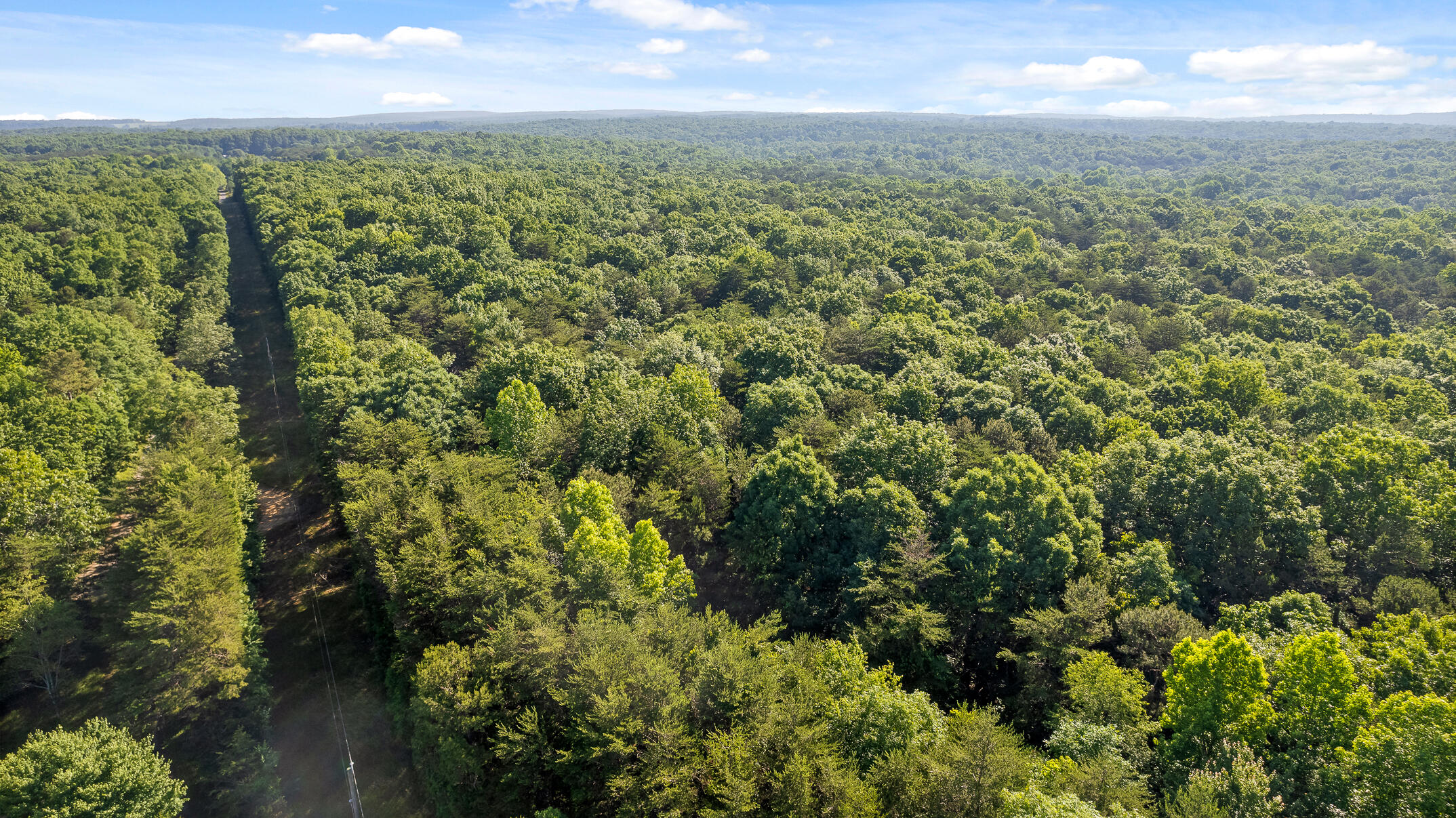 1234 Long Branch Road Menlo, GA 30731 - Photo 31 of 41 Aerial View
