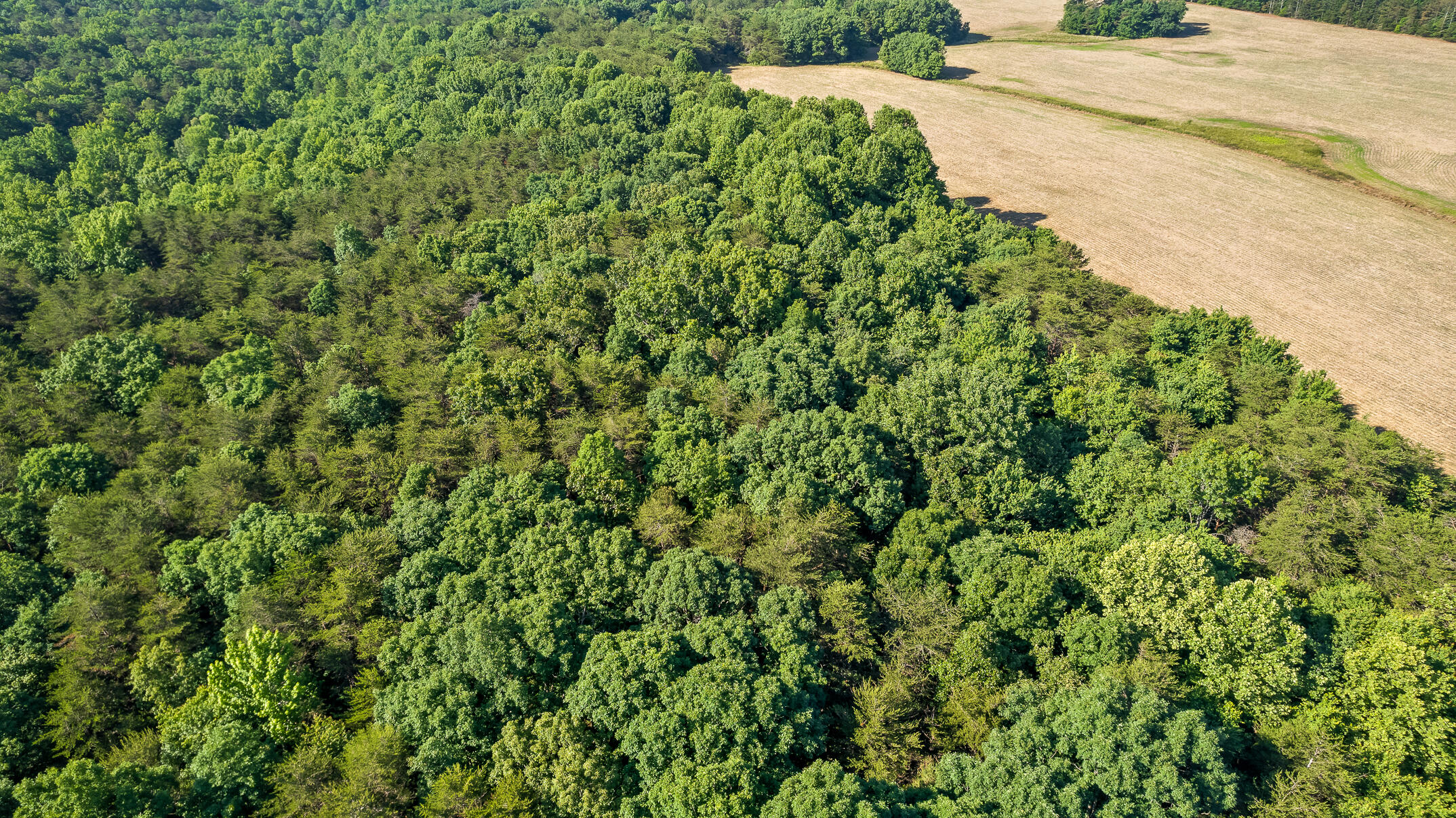 1234 Long Branch Road Menlo, GA 30731 - Photo 32 of 41 Aerial View