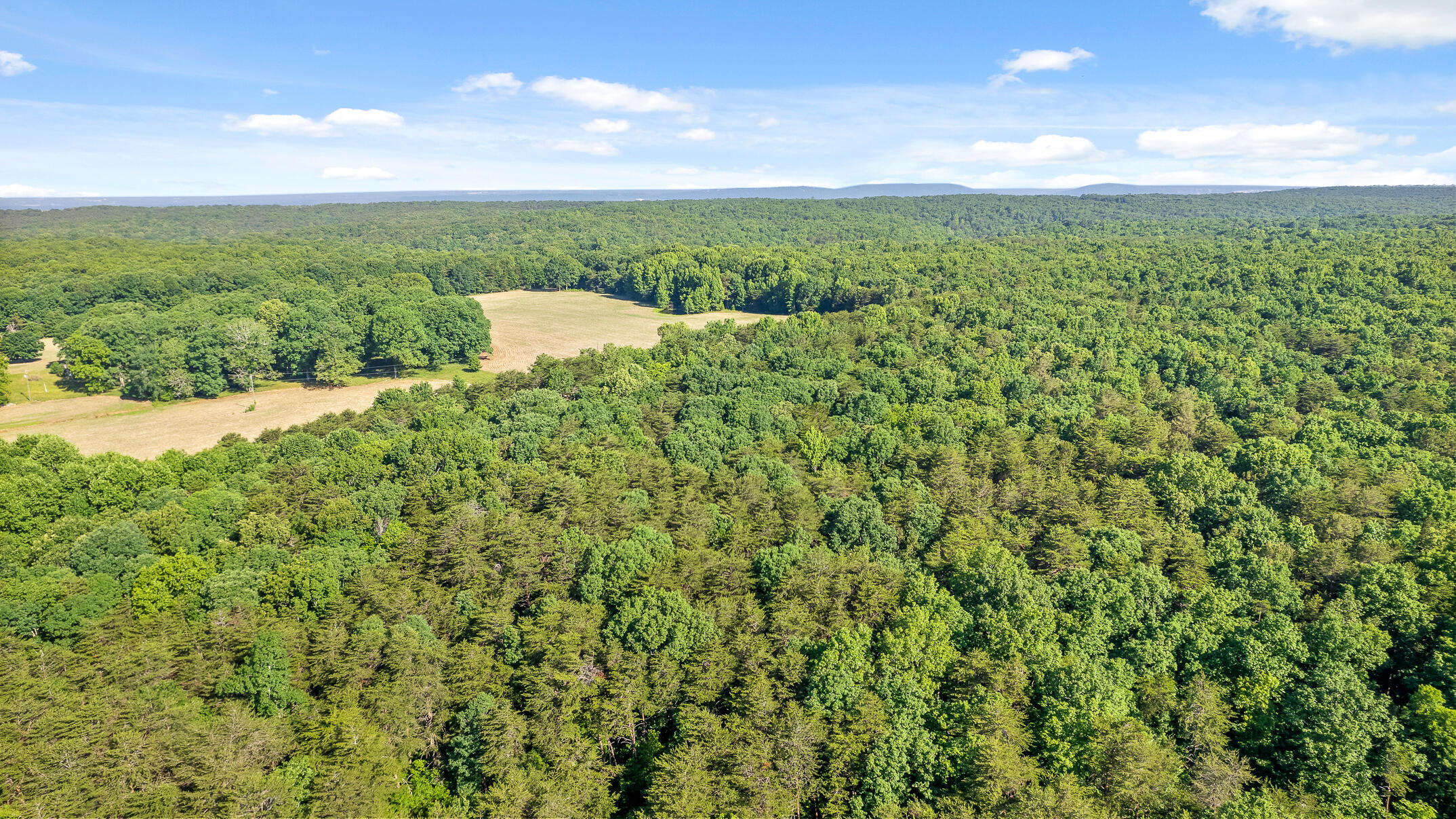 1234 Long Branch Road Menlo, GA 30731 - Photo 33 of 41 Aerial View