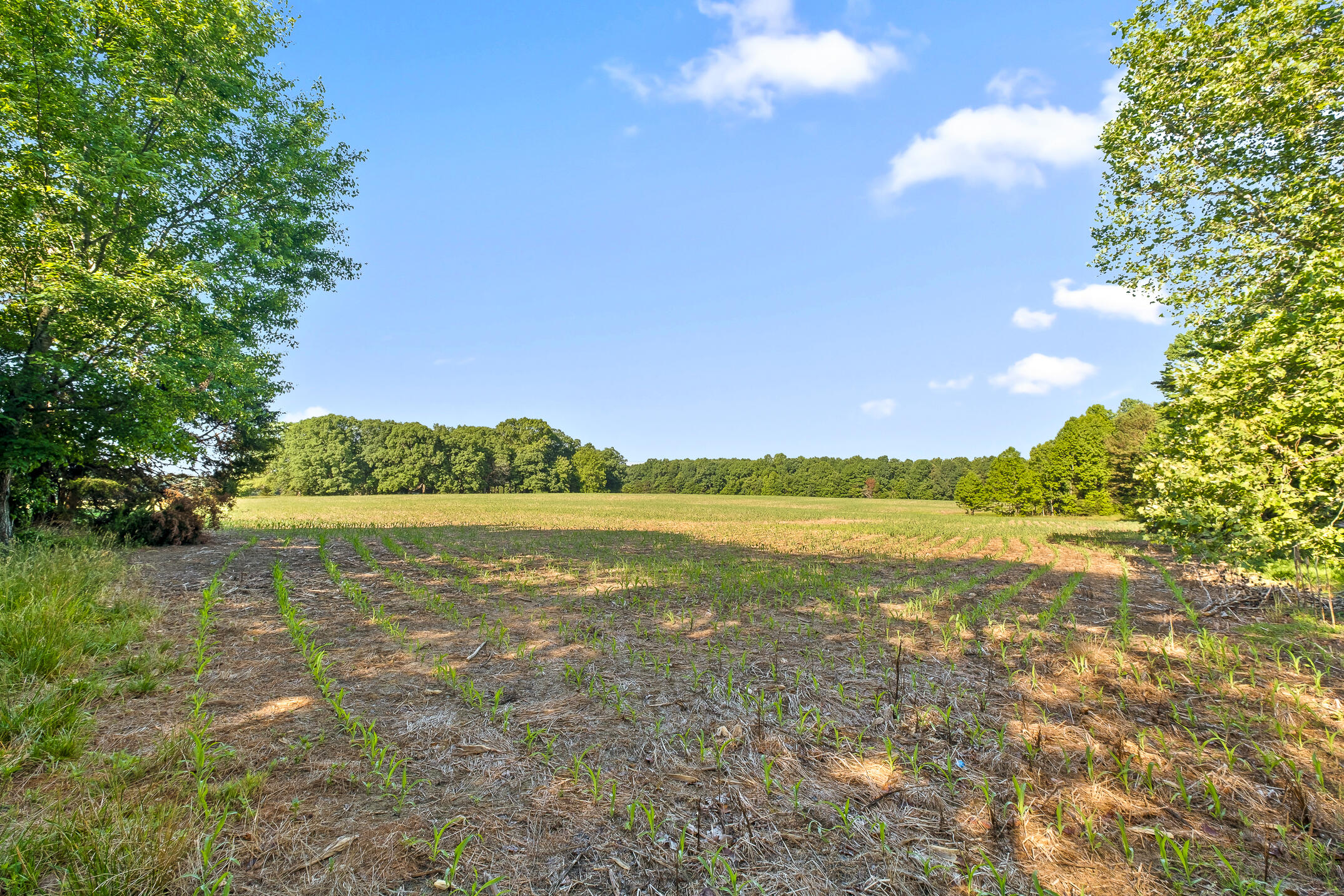 1234 Long Branch Road Menlo, GA 30731 - Photo 35 of 41 Acreage