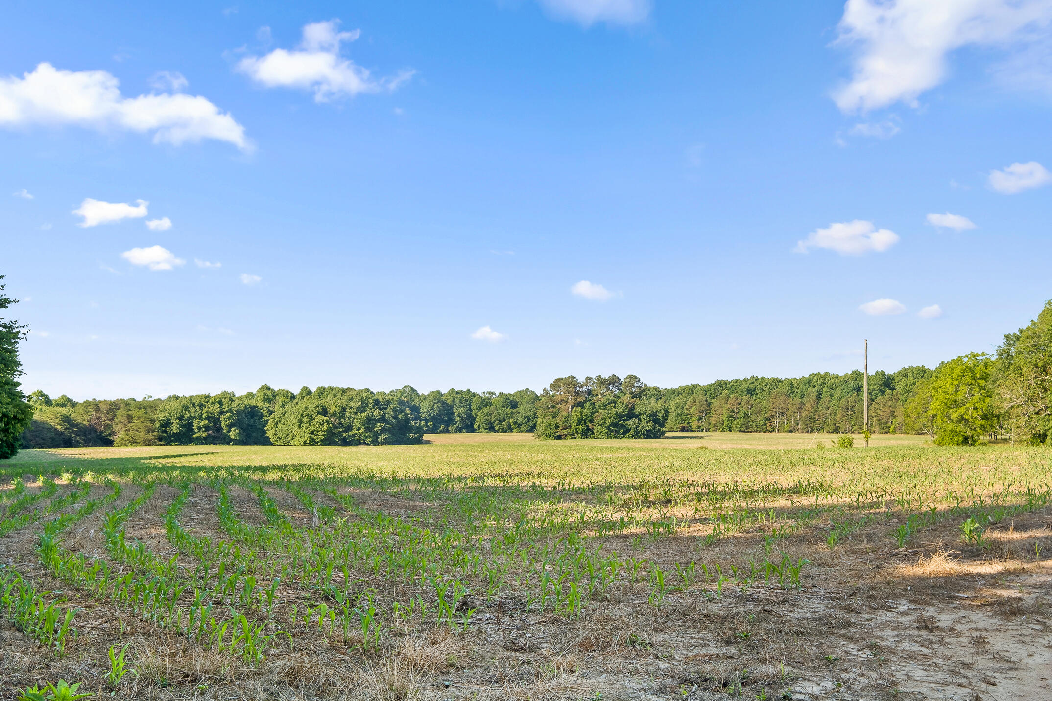 1234 Long Branch Road Menlo, GA 30731 - Photo 36 of 41 Acreage