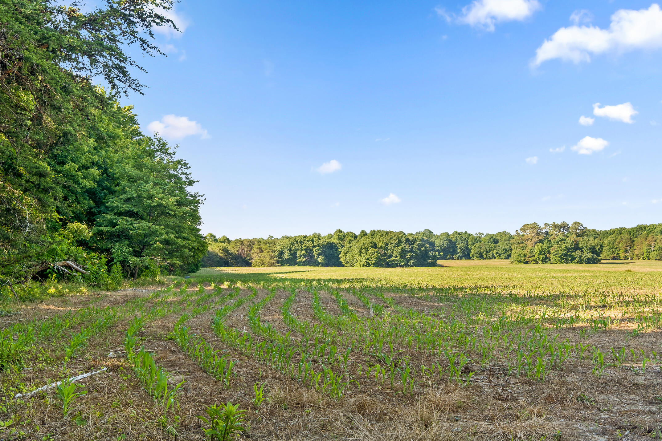 1234 Long Branch Road Menlo, GA 30731 - Photo 37 of 41 Acreage