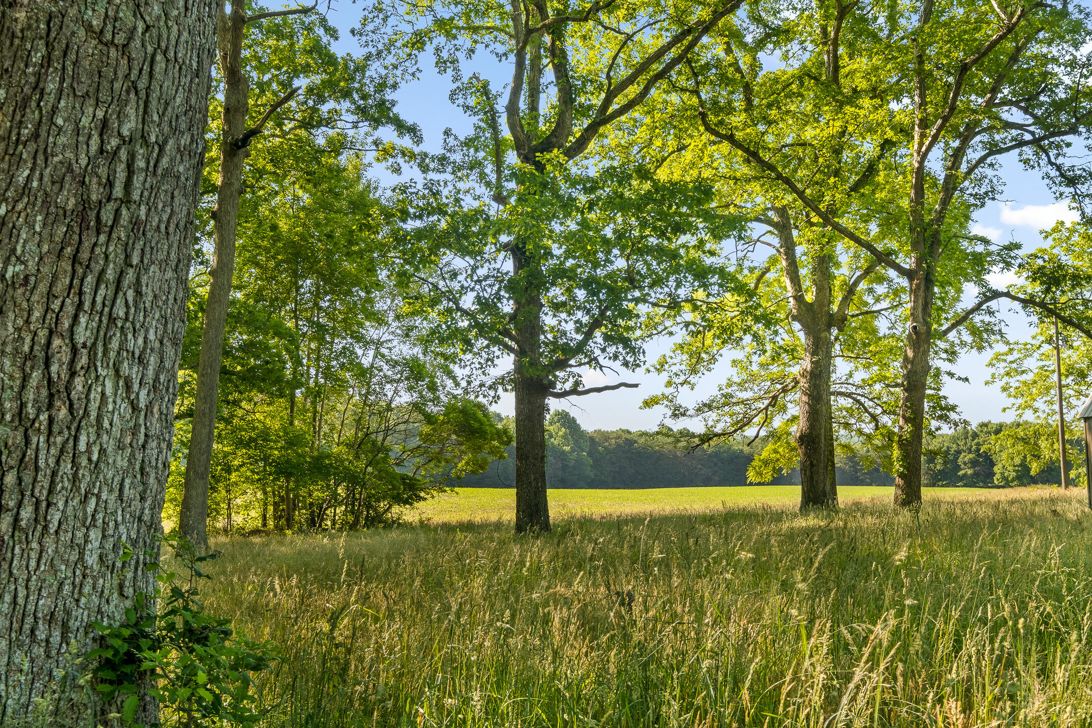 1234 Long Branch Road Menlo, GA 30731 - Photo 39 of 41 Acreage