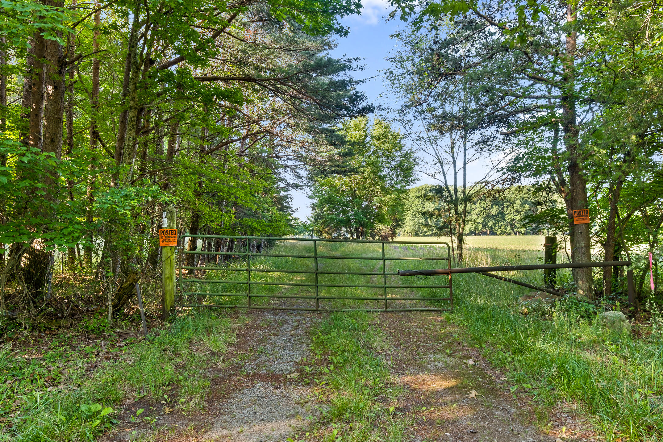 1234 Long Branch Road Menlo, GA 30731 - Photo 4 of 41 Gated Entrance