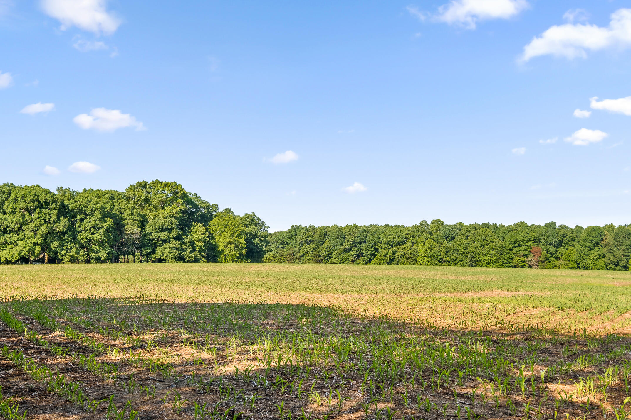 1234 Long Branch Road Menlo, GA 30731 - Photo 5 of 41 Acreage