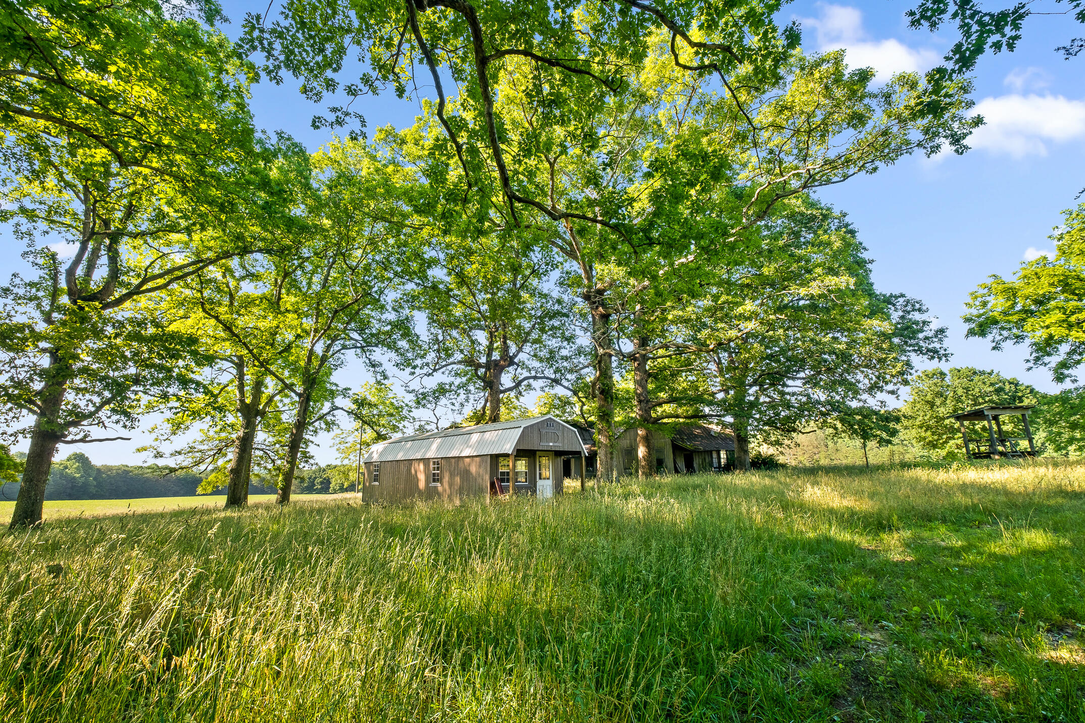 1234 Long Branch Road Menlo, GA 30731 - Photo 6 of 41 Acreage