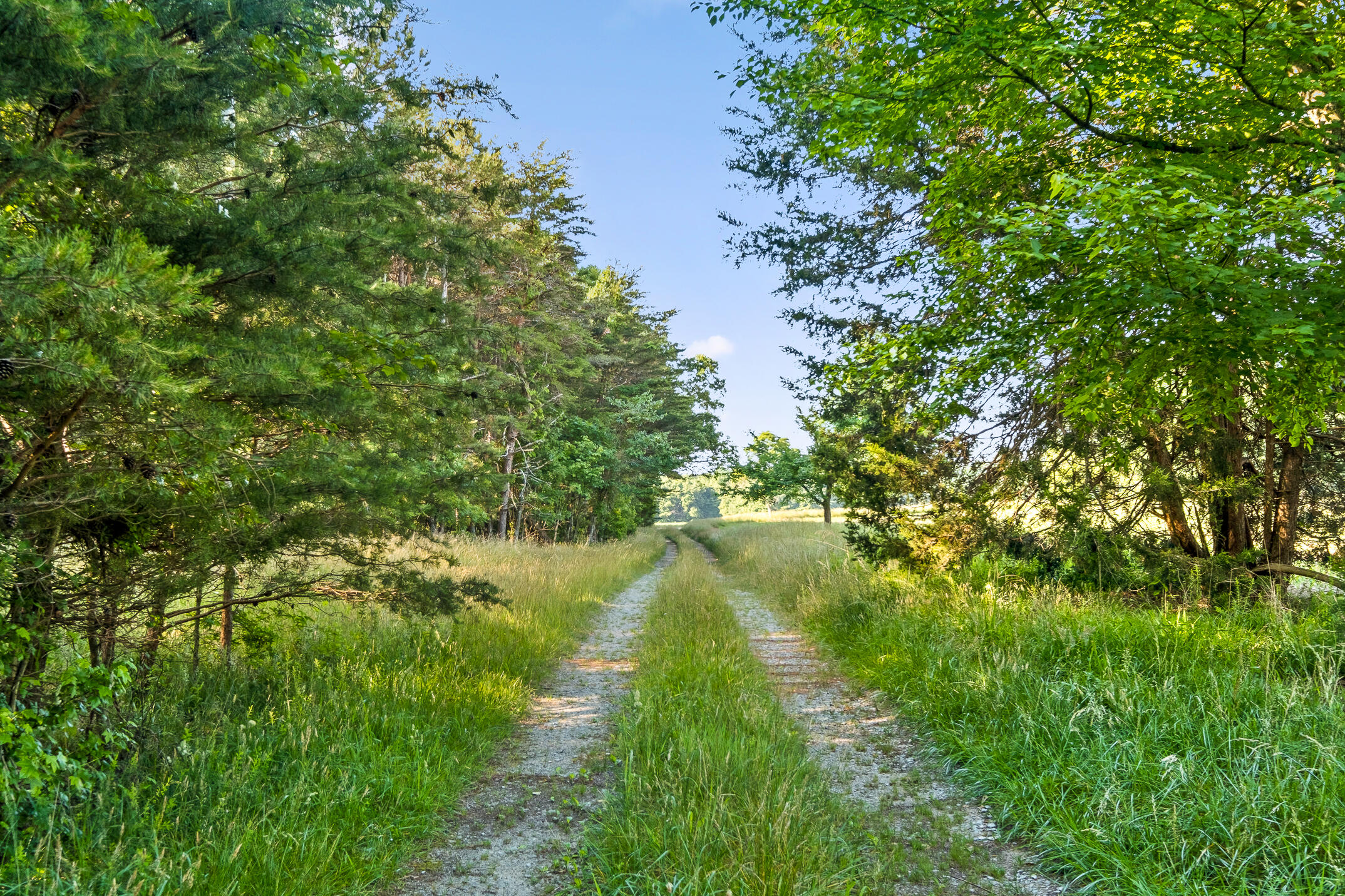 1234 Long Branch Road Menlo, GA 30731 - Photo 7 of 41 Acreage
