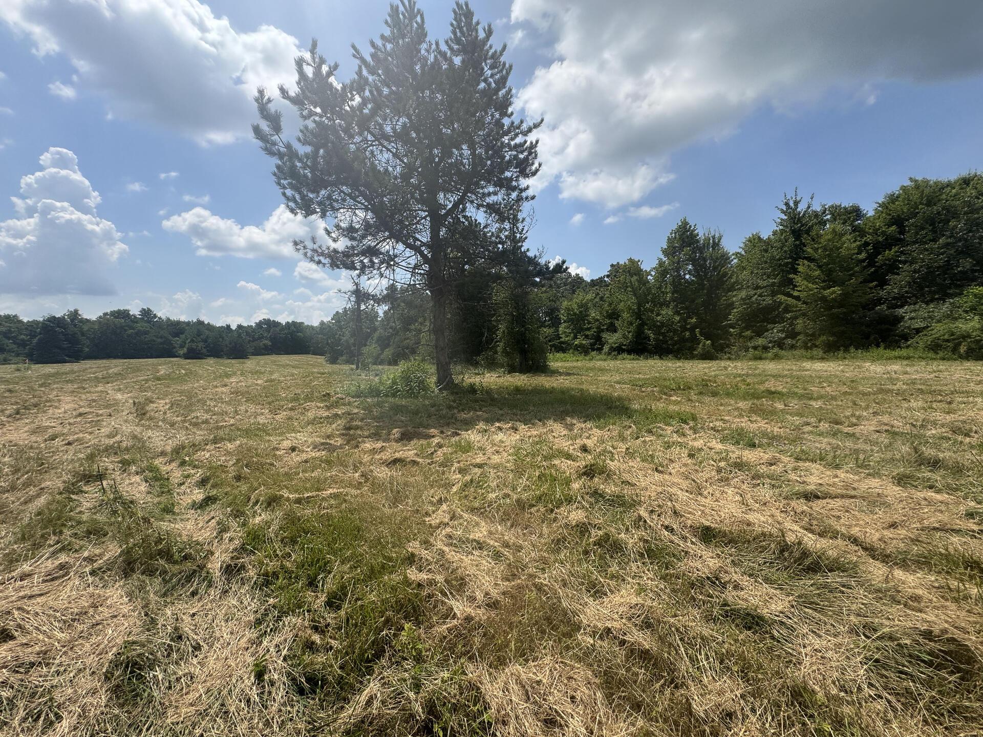 370 Golf Course Road, Unit TRACT 5 SKYLINEACRES) Waverly, OH 45690 - Photo 22 of 38 CT-22