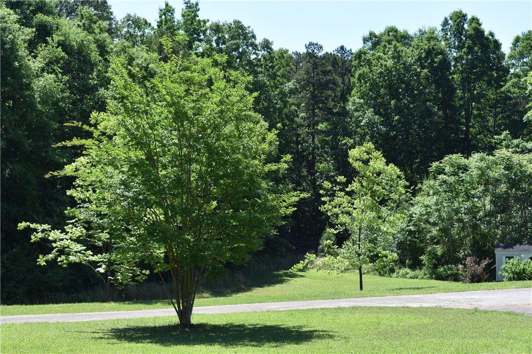 6710 Liberty Highway, Unit PENDLETON Pendleton, SC 29670 - Photo 4 of 21 Gallery Image 4