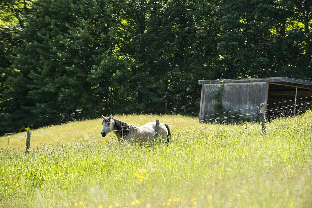 936 Brandon Mountain Road Rochester, VT 05767 - Photo 25 of 40