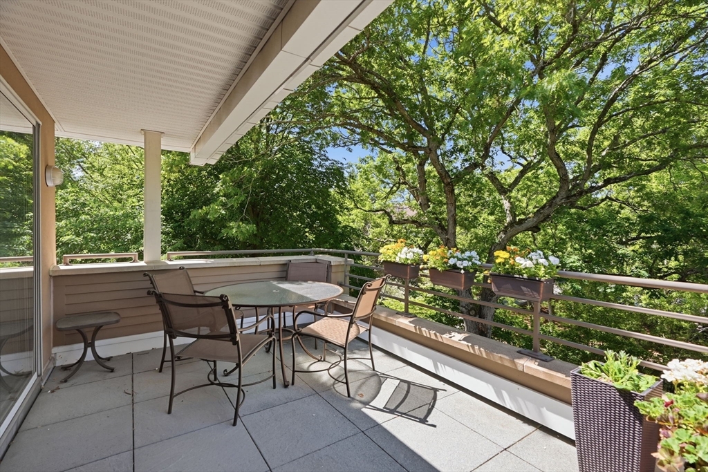 232 Allandale Road, Unit 3A Boston, MA 02467 - Photo 11 of 38 Gallery Image 11