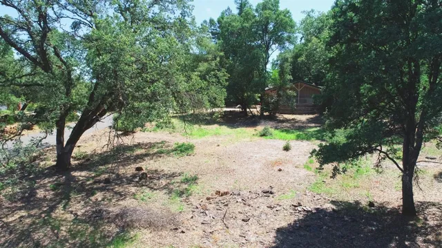 a view of a yard with a tree