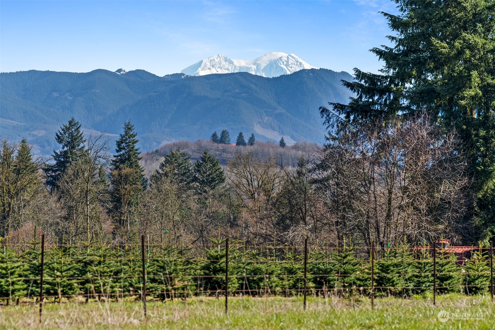 849 Gore Road, Unit 28 Onalaska, WA 98570 - Photo 3 of 40 Gallery Image 3
