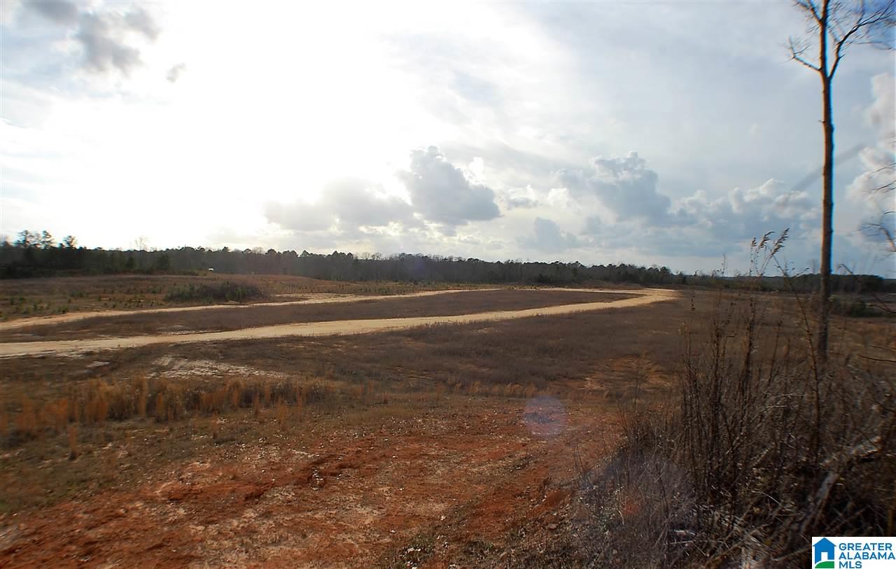 0 County Road 25, Unit 1 Jemison, AL 35085 - Photo 8 of 19