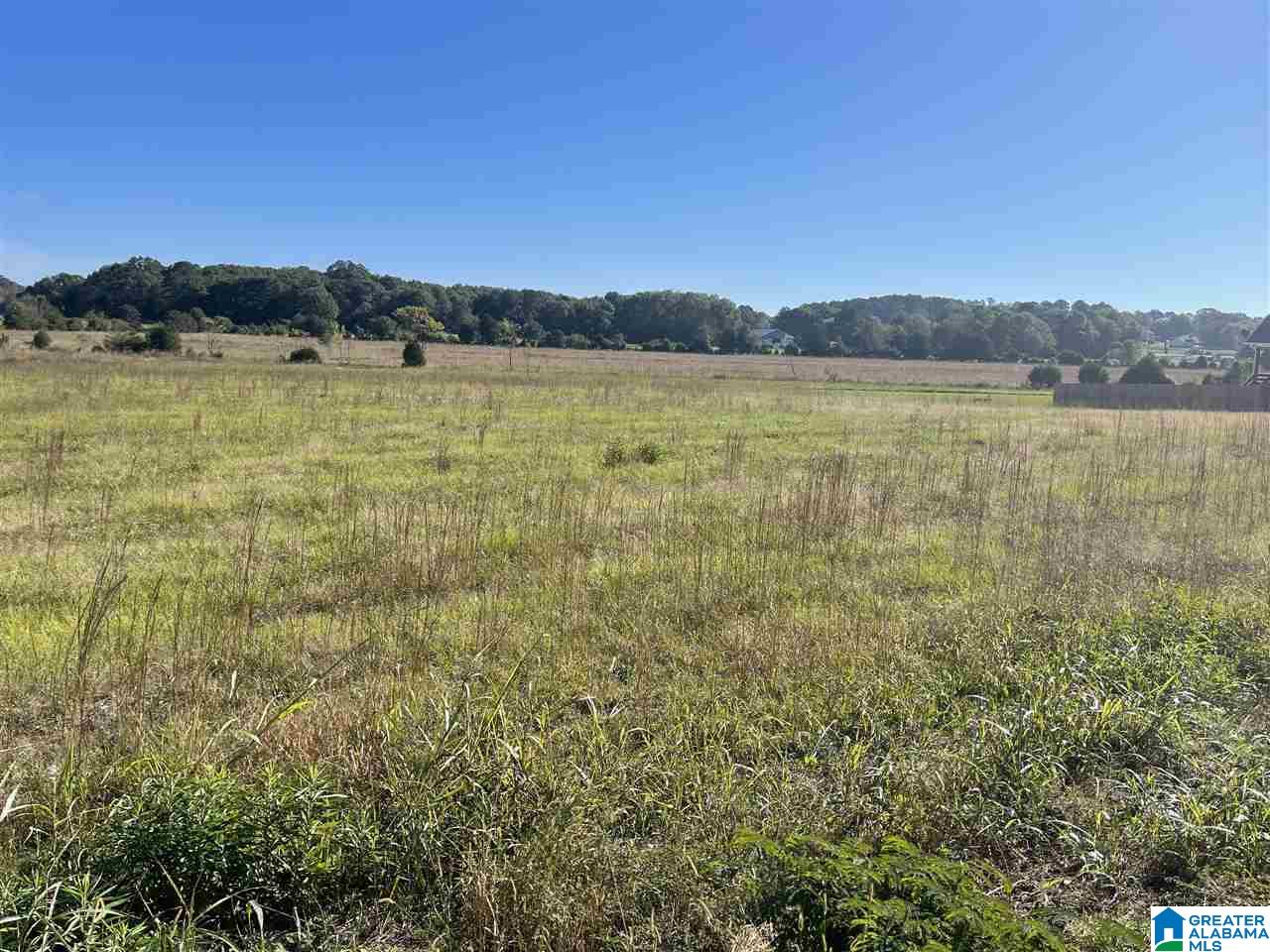 615-635 Watson Road, Unit 2 & 3 Cropwell, AL 35054 - Photo 7 of 13