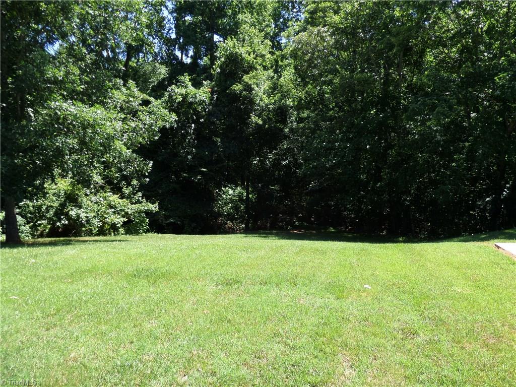 3308 Doub Road East Bend, NC 27018 - Photo 5 of 27 Nice level yard with a wooded backdrop.
