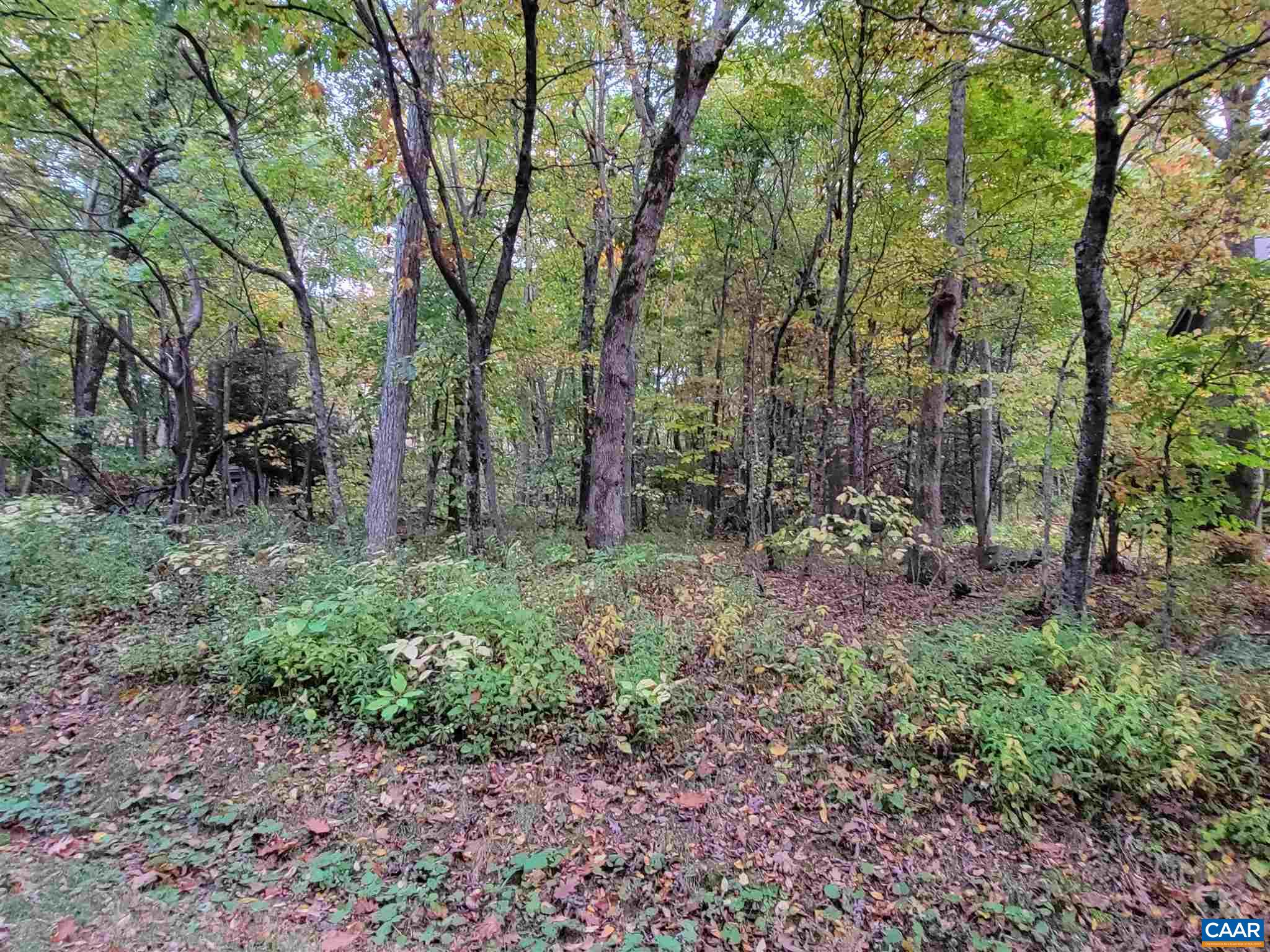 41 Hickory Spring Road Roseland, VA 22967 - Photo 5 of 7