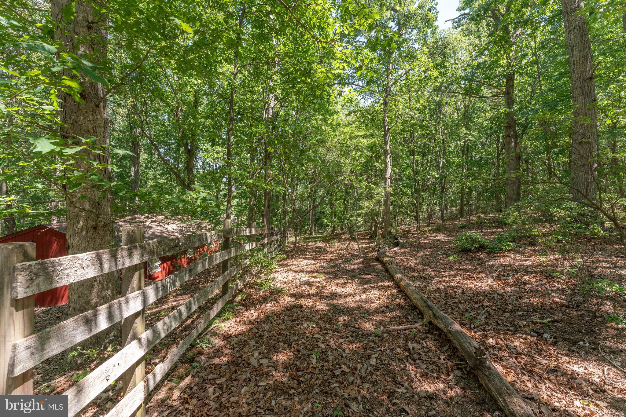 48 Chambers Road Cream Ridge, NJ 08514 - Photo 47 of 61