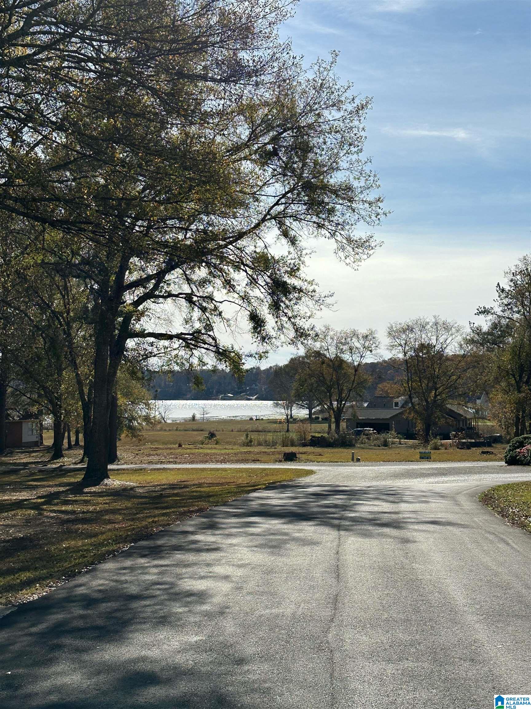 Lot 5 Carleton Point, Unit 5 Wilsonville, AL 35186 - Photo 5 of 12
