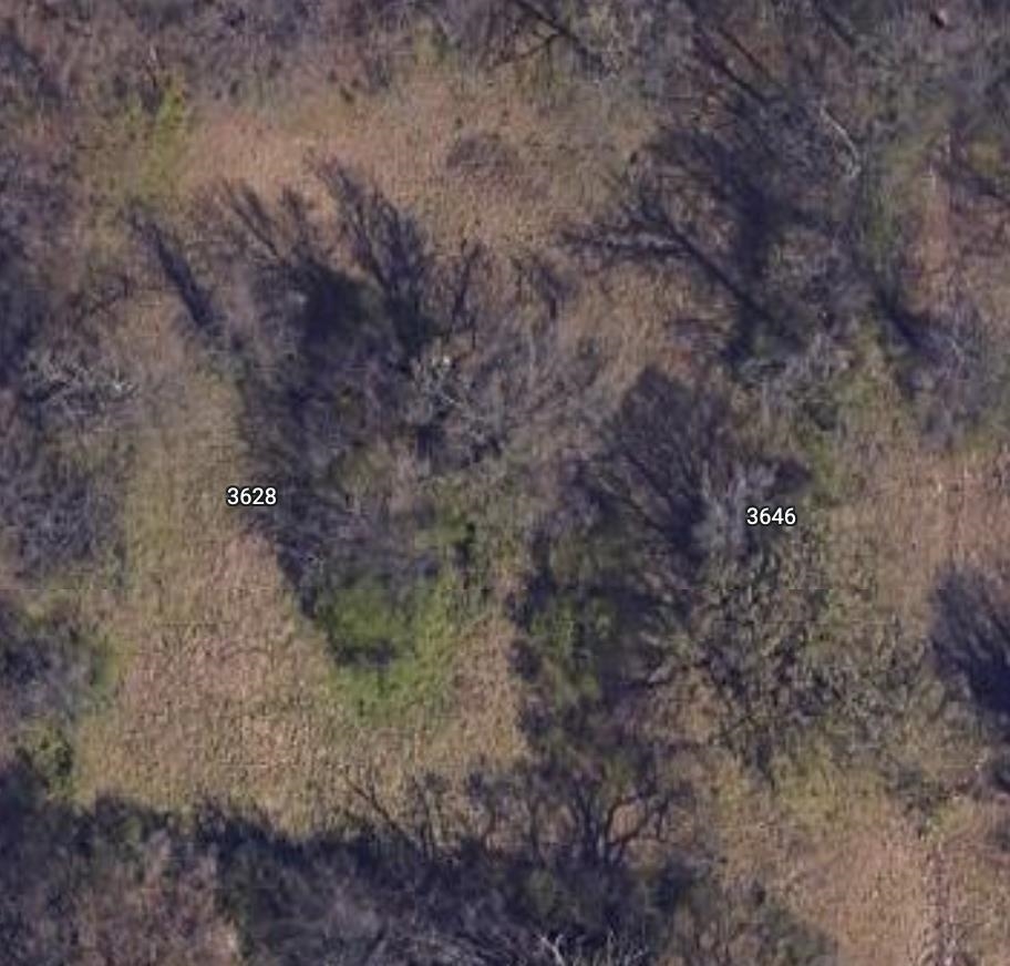 3646 Democrat Road Memphis, TN 38118 - Photo 1 of 2 a view of a dry yard