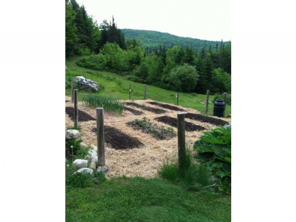 64 Clement Road West Topsham, VT 05086 - Photo 20 of 38