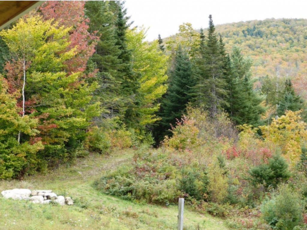 64 Clement Road West Topsham, VT 05086 - Photo 23 of 38