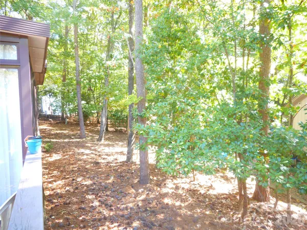 a view of yard with trees
