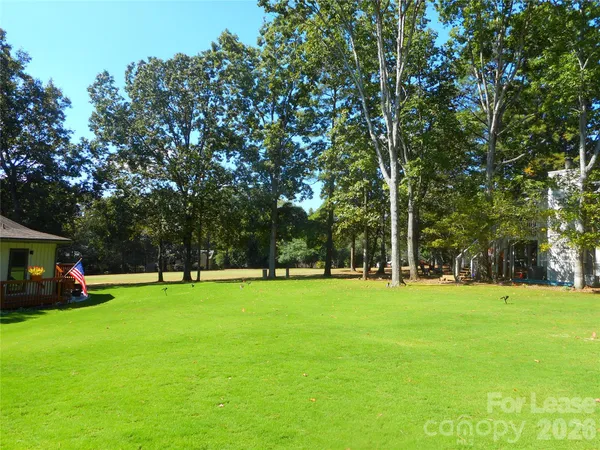 a view of a park with large trees