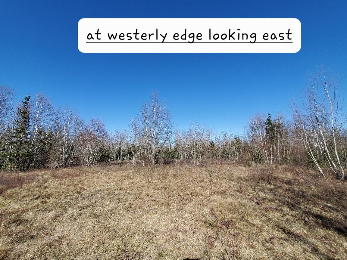 0 Meadow Road Addison, ME 04606 - Photo 13 of 36 at westerly edge looking east