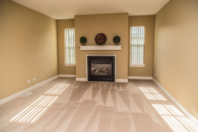 883 Oak Ridge Boulevard Elgin, IL 60120 - Photo 15 of 25