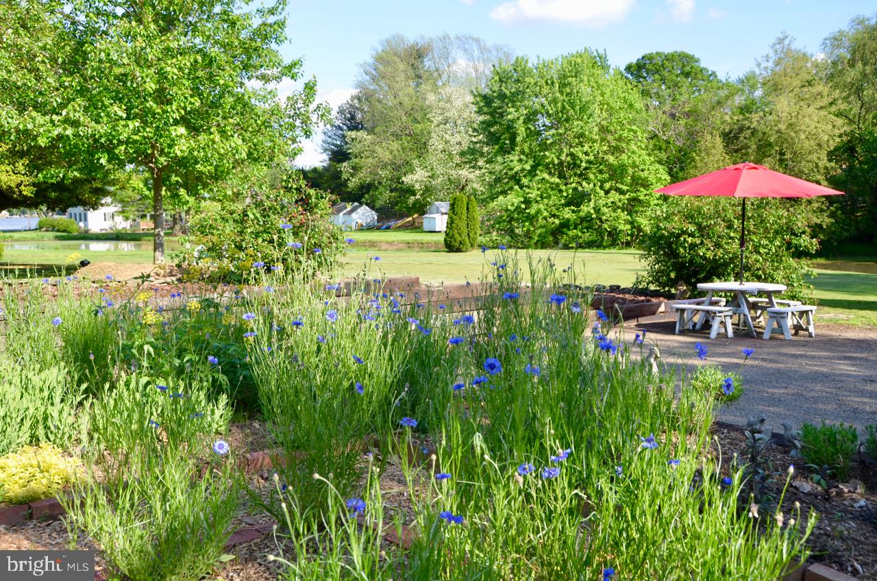 7842 Radcliffe Road Chestertown, MD 21620 - Photo 35 of 56 Gallery Image 35