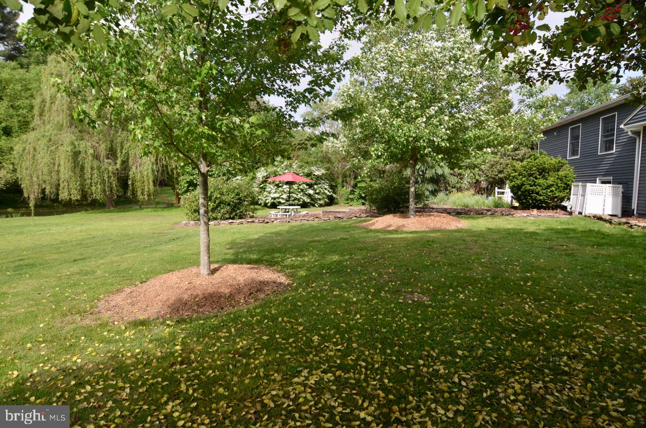 7842 Radcliffe Road Chestertown, MD 21620 - Photo 47 of 56 Gallery Image 47