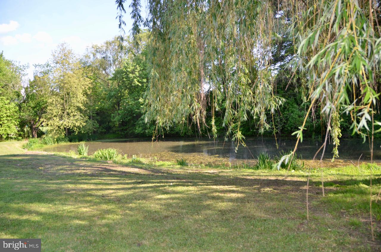 7842 Radcliffe Road Chestertown, MD 21620 - Photo 48 of 56 Gallery Image 48