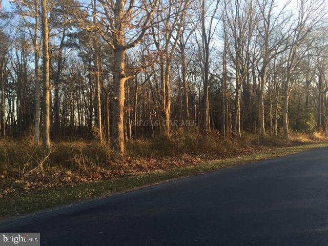 Waller Road Salisbury, MD 21801 - Photo 2 of 3 Gallery Image 2