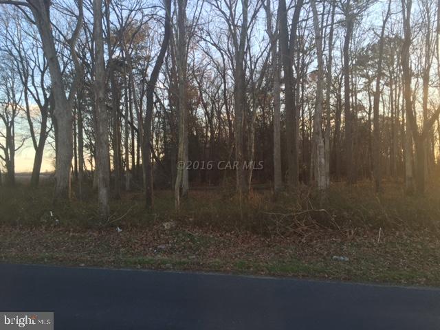 Waller Road Salisbury, MD 21801 - Photo 3 of 3 Gallery Image 3