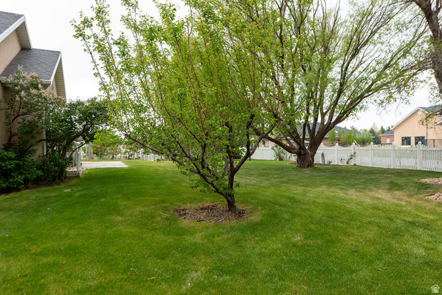 875 East 1300th Street North Mapleton, UT 84664 - Photo 56 of 65 View of yard