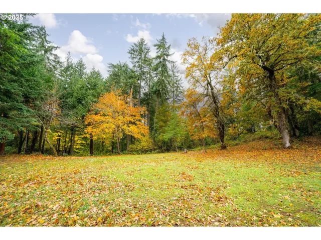 a backyard of a house with lots of green space green landscape and mountain view