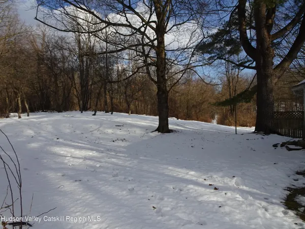 a view of empty space with trees